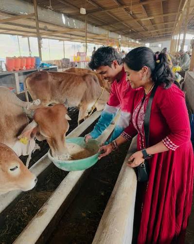 A Gau Seva activity scene