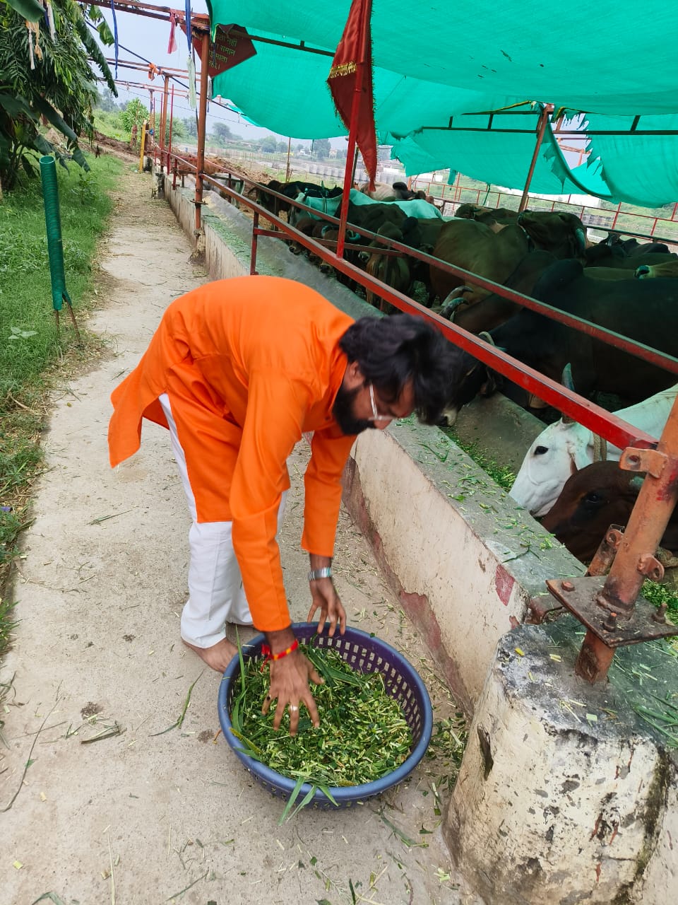 Seva 1 — Gau Seva drive