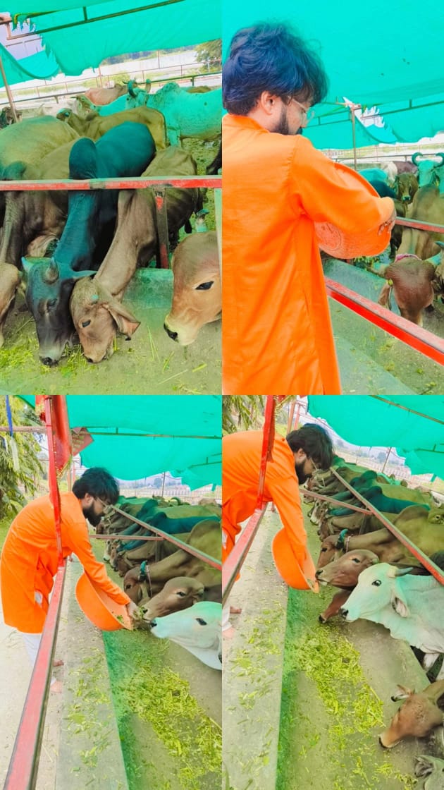 Seva 2 — Gau Seva drive